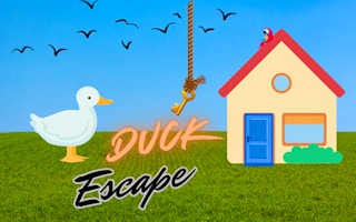 Image Duck Escape